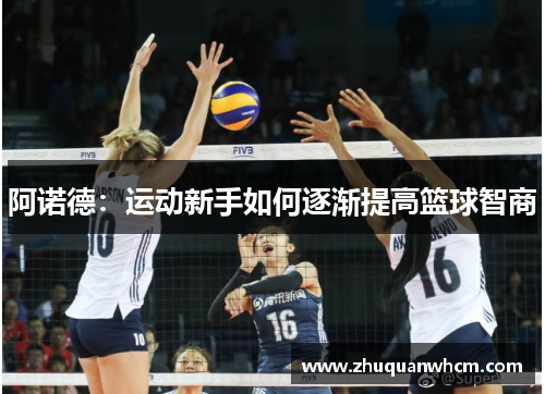 阿诺德：运动新手如何逐渐提高篮球智商